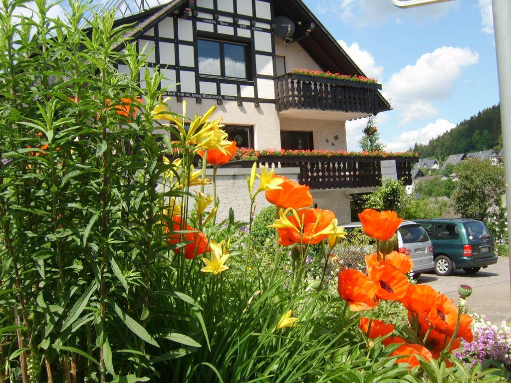 Haus Cristallo Olsberg Exterior photo